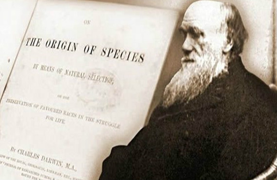 达尔文进化论基本观点 达尔文进化论有没有科学性