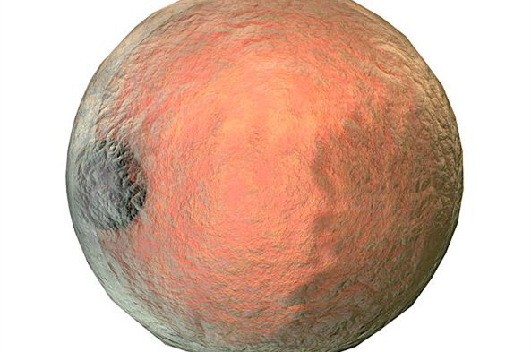 人体最大的细胞  卵细胞直径：10-20微米