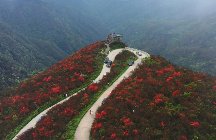 阳明山