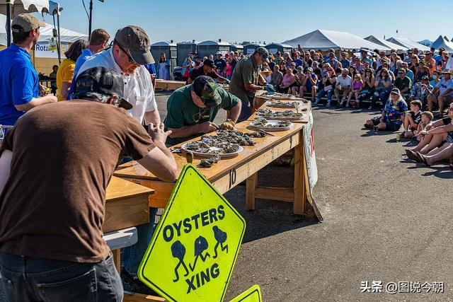 西雅图大牡蛎 游走在西雅图的街头巷尾(12)