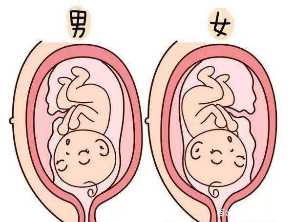 孕妇胎盘后壁注意什么 孕妇胎盘前壁好还是后壁好(4)