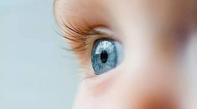 科学家是怎么知道宝宝视力的 宝宝视力发展全过程(2)