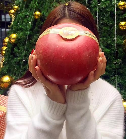 世界十大苹果好吃排名 世界最好吃的十大苹果