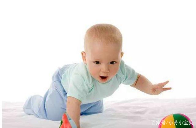 七到八个月婴儿早教的训练重点 7-10个月宝宝的早教课程(3)