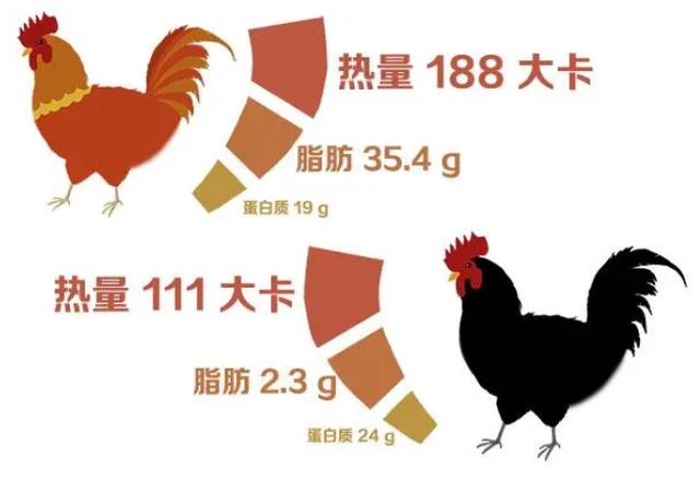 白凤乌鸡做法 广东人用来煲汤的乌鸡(2)