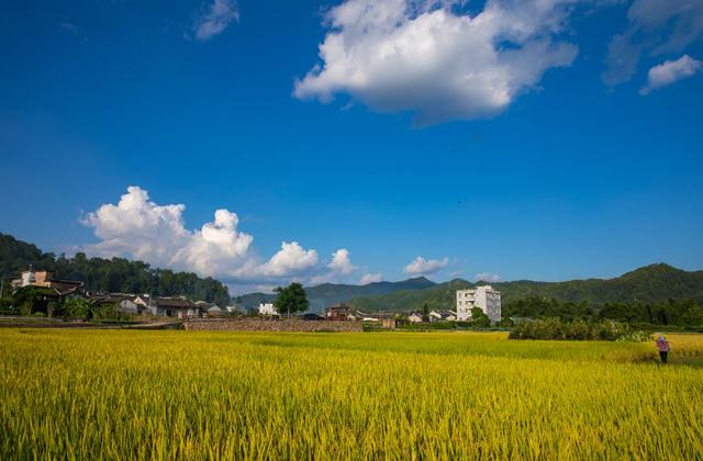 广州南粤古村旅游 好吃又好玩美得流连忘返(10)