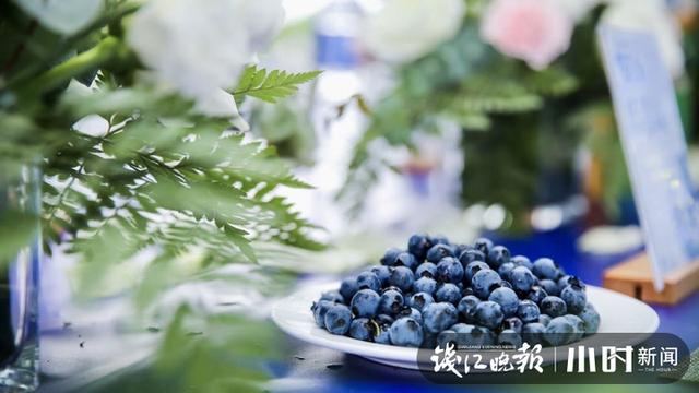 东北野生蓝莓鲜果价格 本地蓝莓宝宝熟了(7)