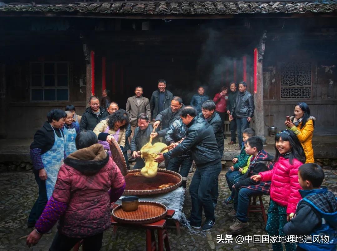 仙人菜是什么菜_配菜仙人_仙人菜的功效与禁忌